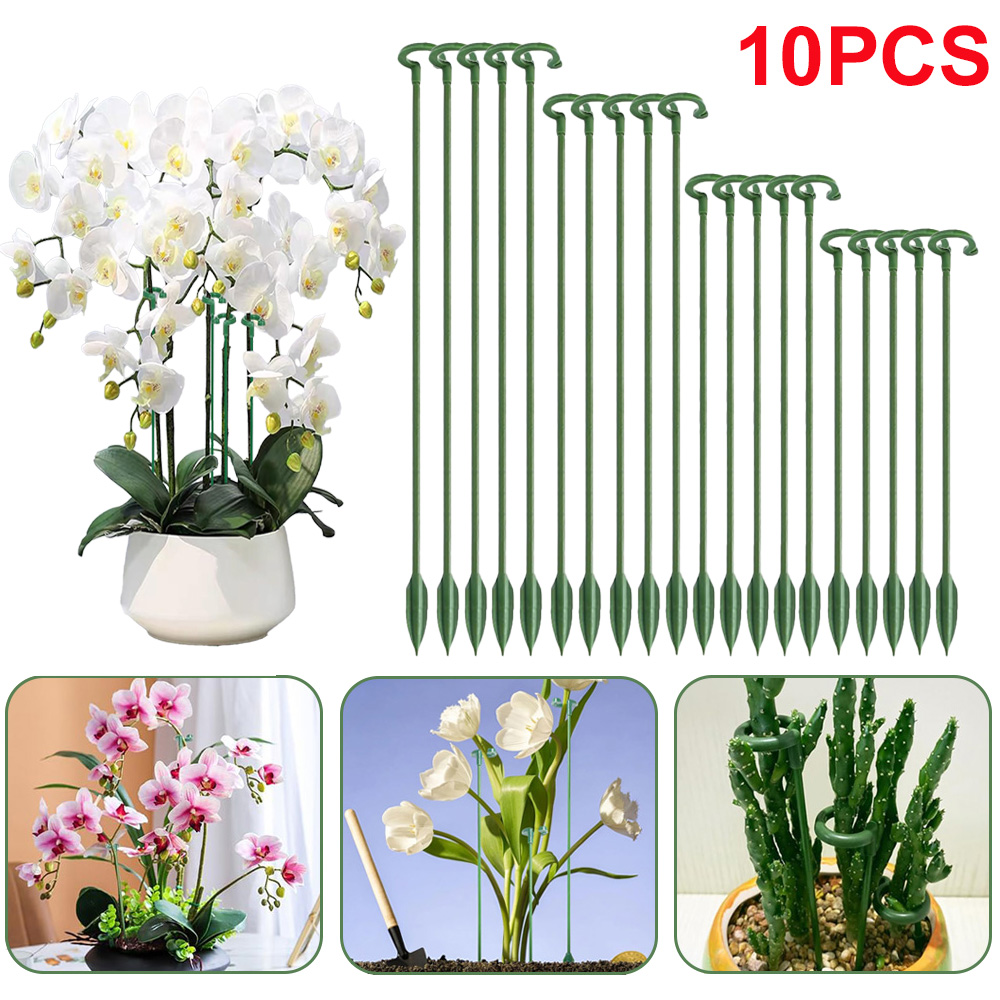 5/10pcs Plant Support Stakes P - Echeveria Succulent ulasan dan harga